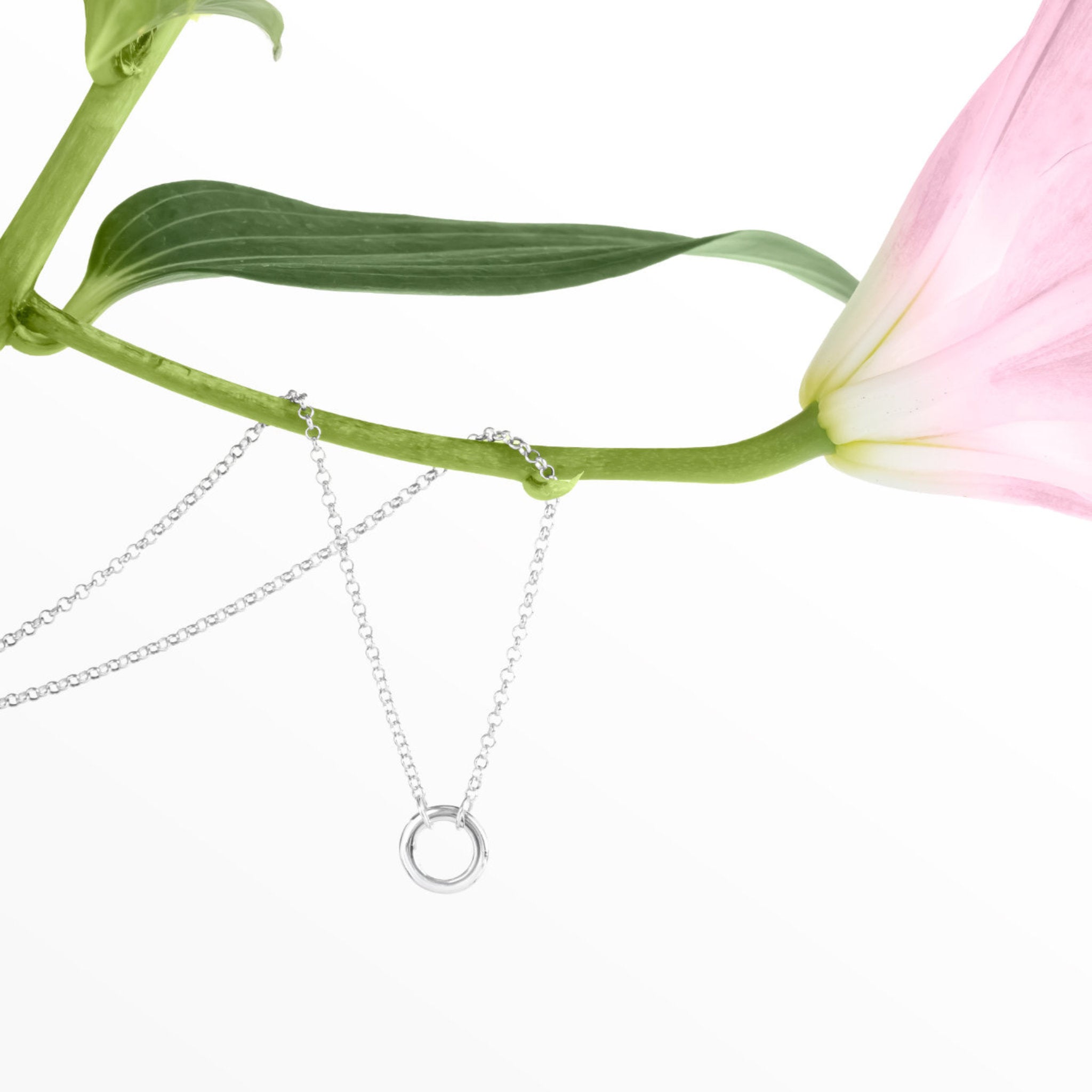 Blue Francis Liam Circle Clasp Necklace, a sterling silver circle necklace draped on a pink lily stem