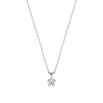 Silver Butterfly necklace with Cable Chain on a white background - Brooklyn Butterfly Necklace - BLUE FRANCIS